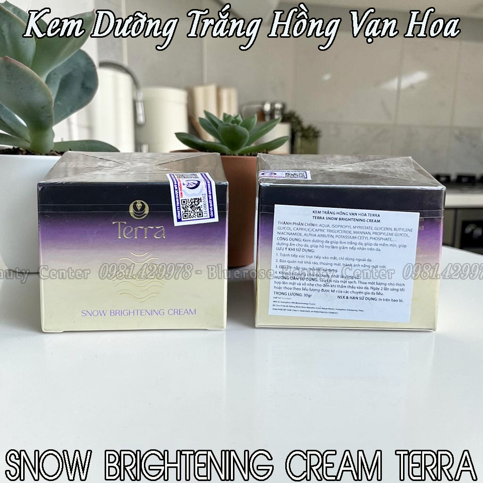 KEM TRANG HONG VAN HOA BR 1