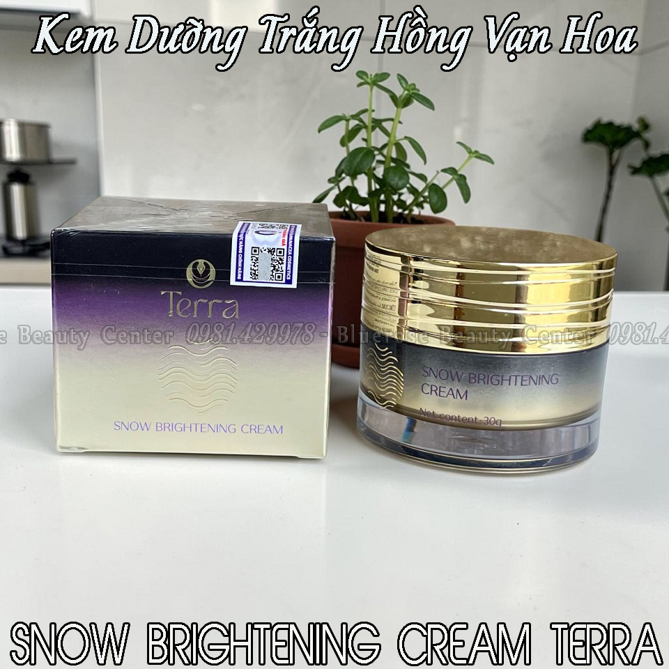 KEM TRANG HONG VAN HOA BR 2